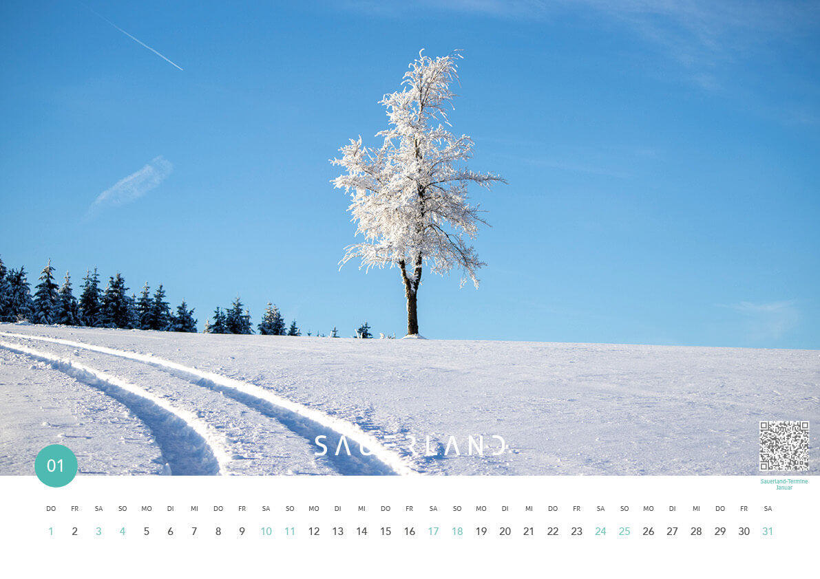 Sauerland Kalenderblatt Januar 2026. Zusehen ist ein alleinstehender Baum mit gefrorenen Ästen, der in einer fast unberührten Schneelandschaft steht. Von unten nach links ist eine frische Fahrspur im Schnee.